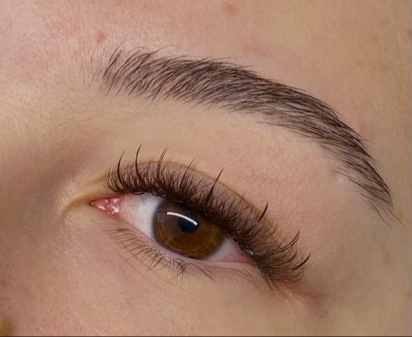 Volume Wispy Marrom